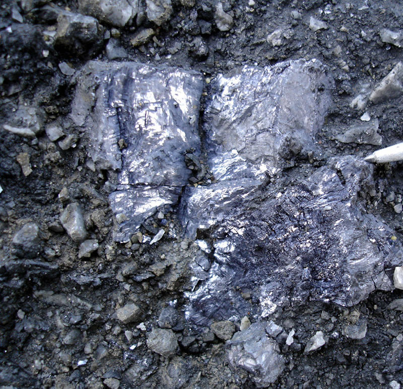 Sheared Galena in fault zone
